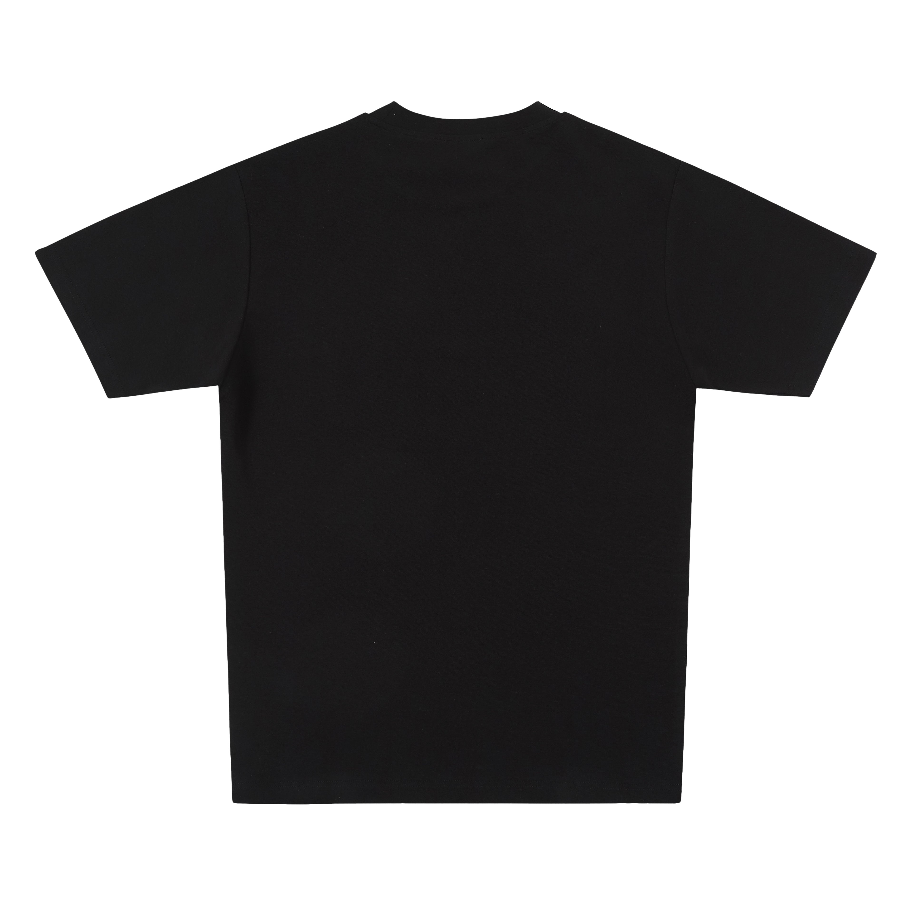 250 GSM T-SHIRT / SLIM