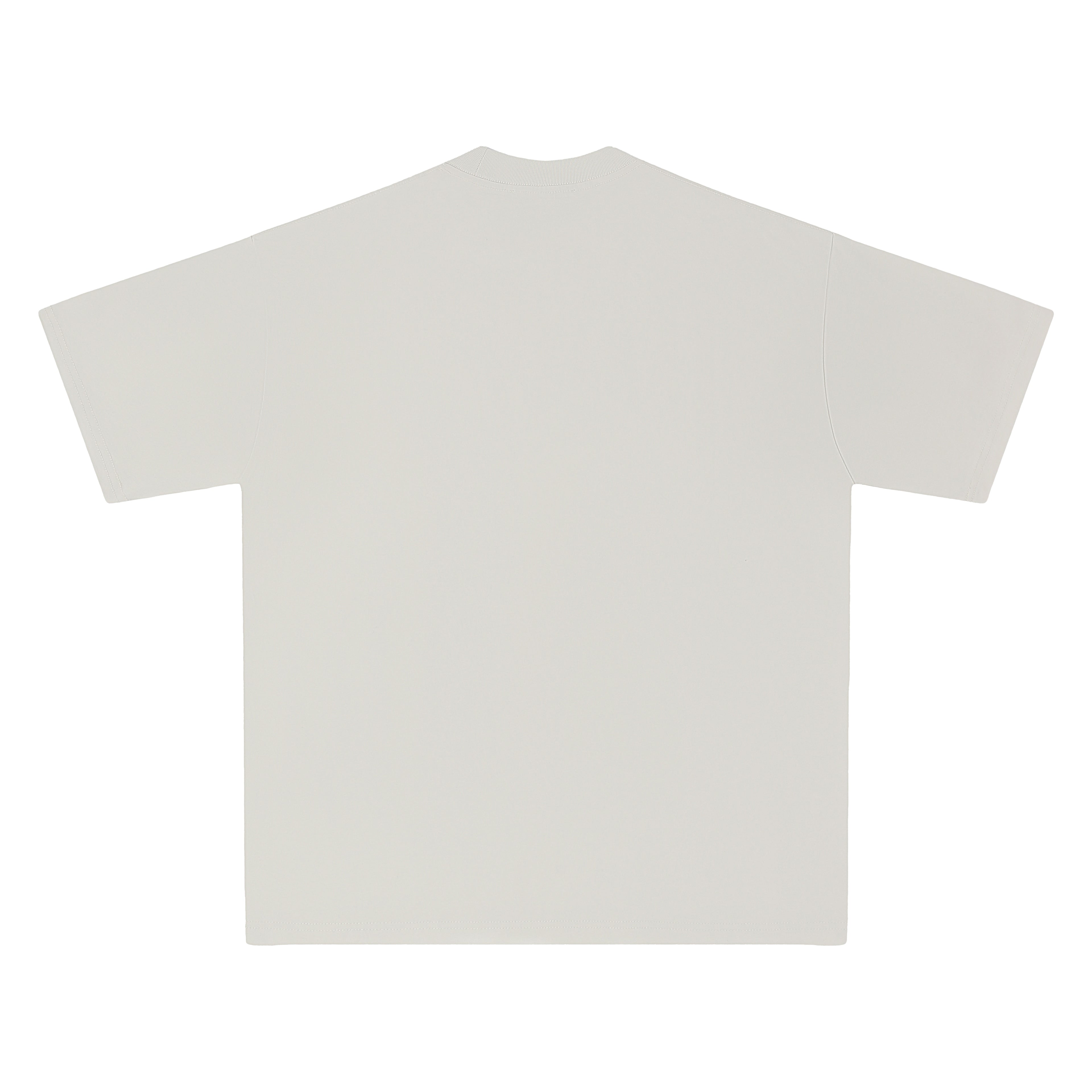 250 GSM T-SHIRT / OVERSIZED